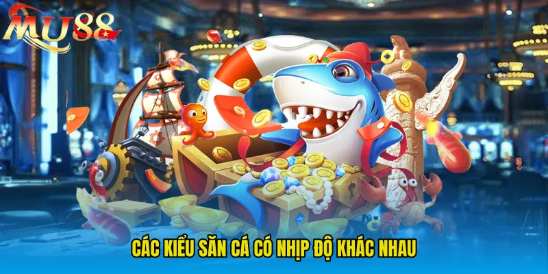 Các kiểu săn cá có nhịp độ khác nhau