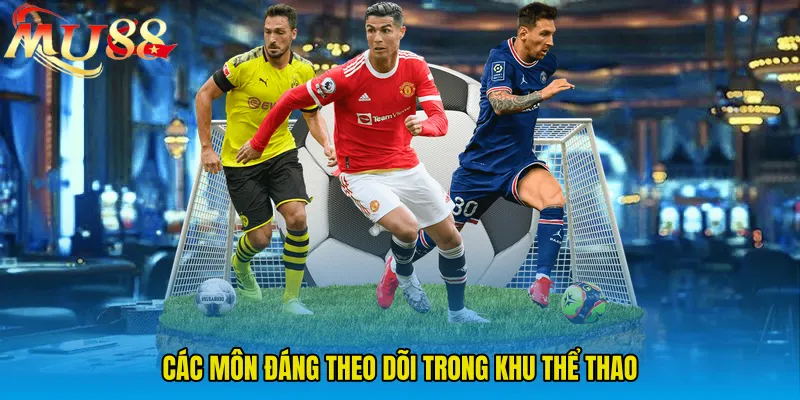 Các môn đáng theo dõi trong khu thể thao