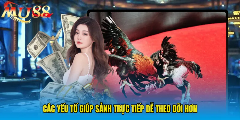 Các yếu tố giúp sảnh trực tiếp dễ theo dõi hơn